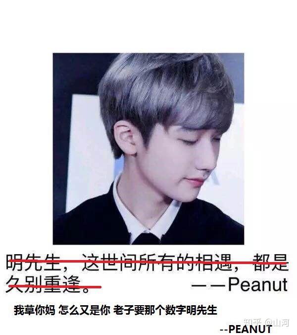 左边小花生右边smeb 小花生peanut.可以说非常可爱了.