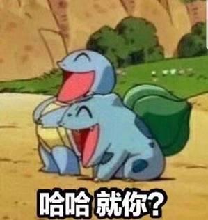 憨批龟朋友们的可爱表情