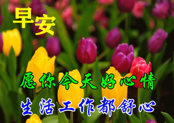 早安2021最新图片10月,早安2021最新图片清新 8张秋日最新特漂亮早上好鲜花动画图片带祝福语2021最美秋天早安问候
