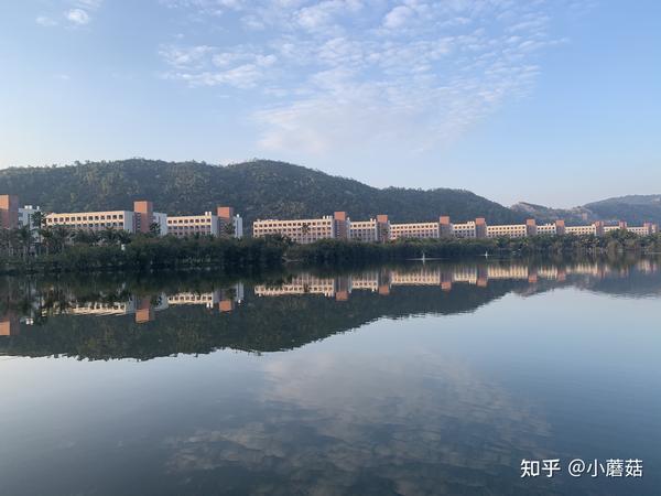 学在珠科丨在珠海科技学院就读【应用化学】专业是什么体验?