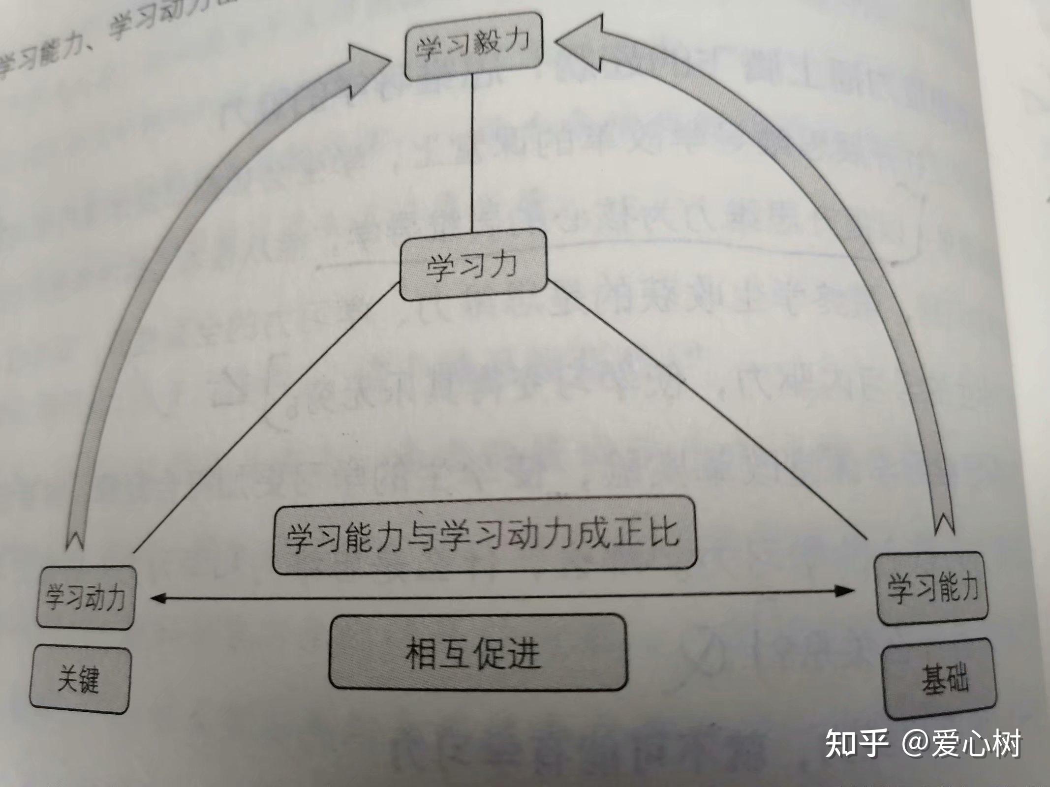 学习力是学习动力,学习毅力和学习能力三个要素的交集,只有同时具备了