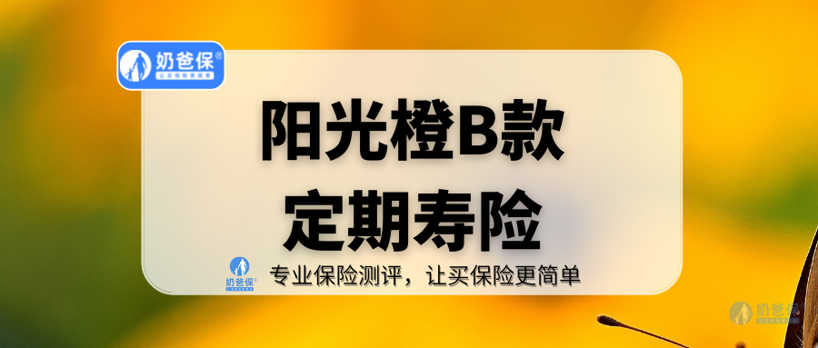 阳光人寿阳光橙b款定期寿险怎么样可以考虑吗