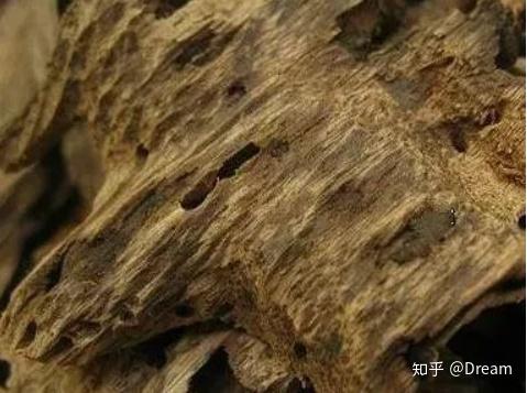沉香木的鉴别方法?沉香木价值在哪?