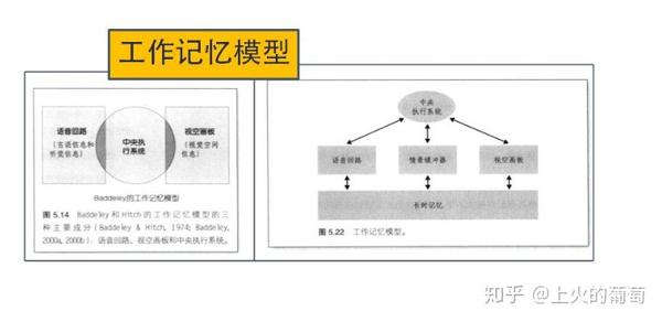 认知模型no.4:认知心理学,心智,研究与生活