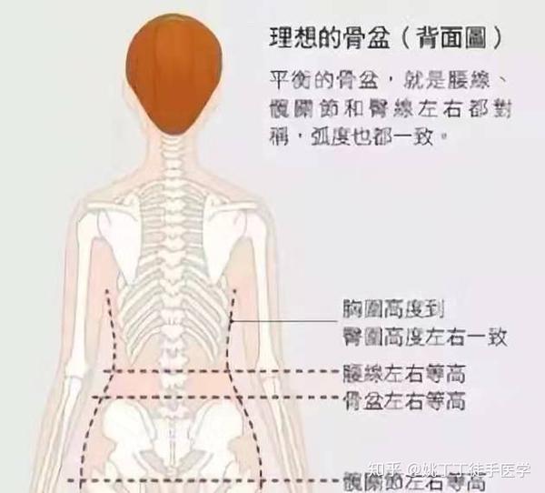 简单2步帮你改善产后骨盆前倾,看过的人都惊呆了