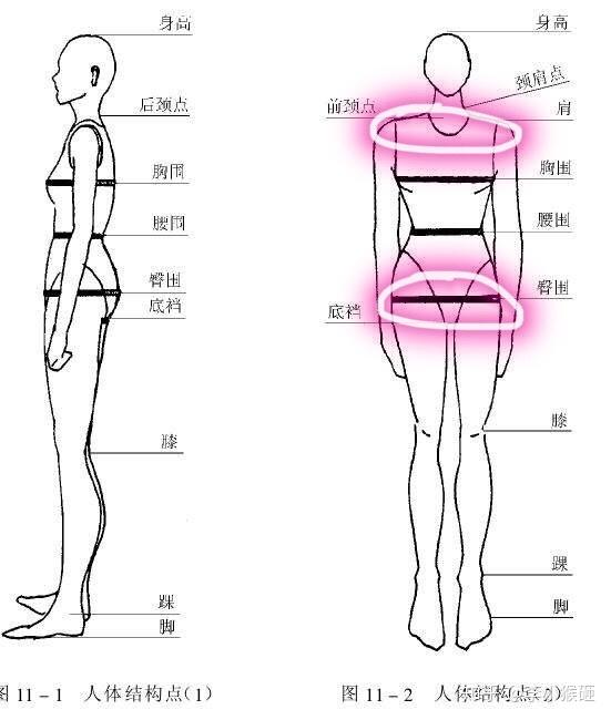 (如图所示,就是肩和胯的位置)