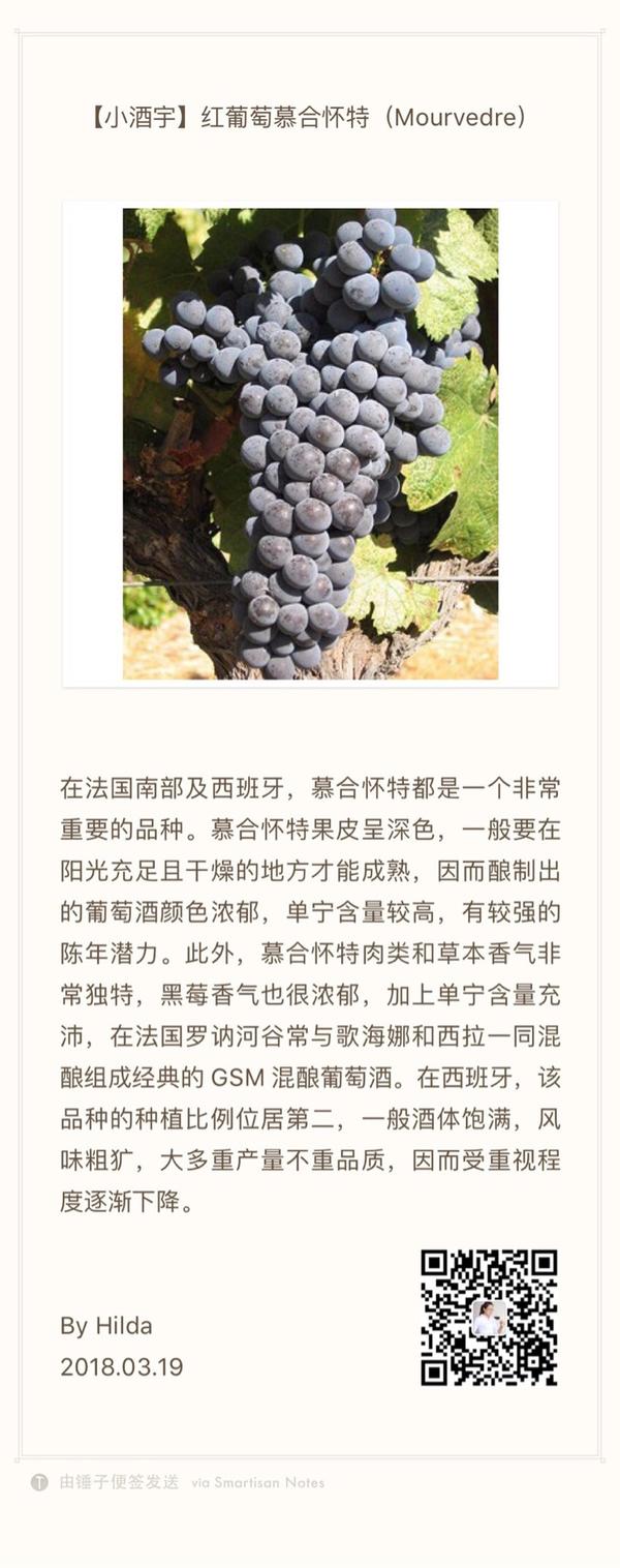 红葡萄品种慕合怀特mourvedre.