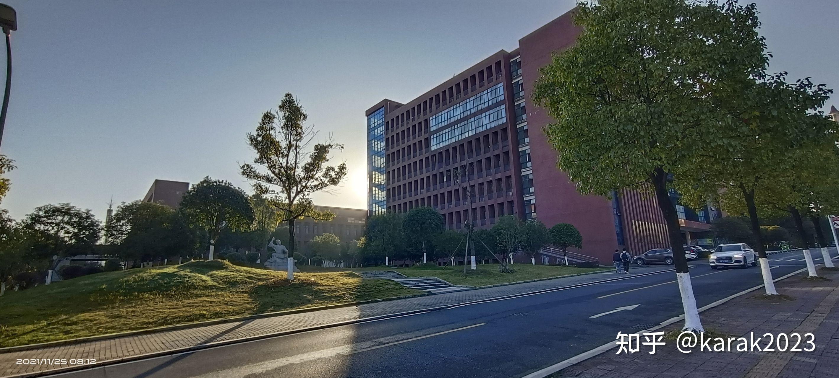 情况图书馆前面,灯光是暖色的,所以连植物都变了颜色湖南城市学院南门