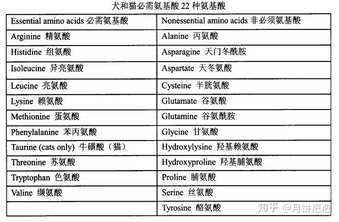 猫猫营养需要蛋白质