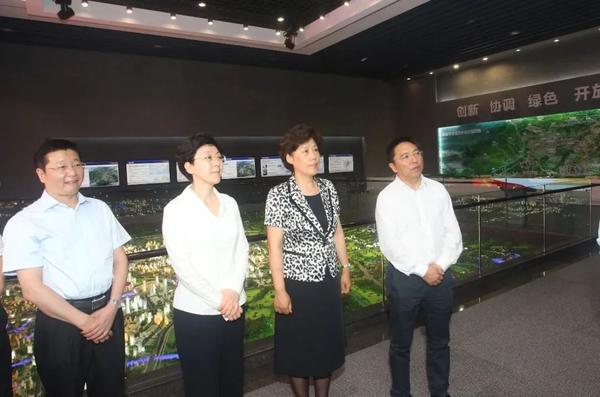 重庆市委常委,统战部部长李静带队考察天府新区