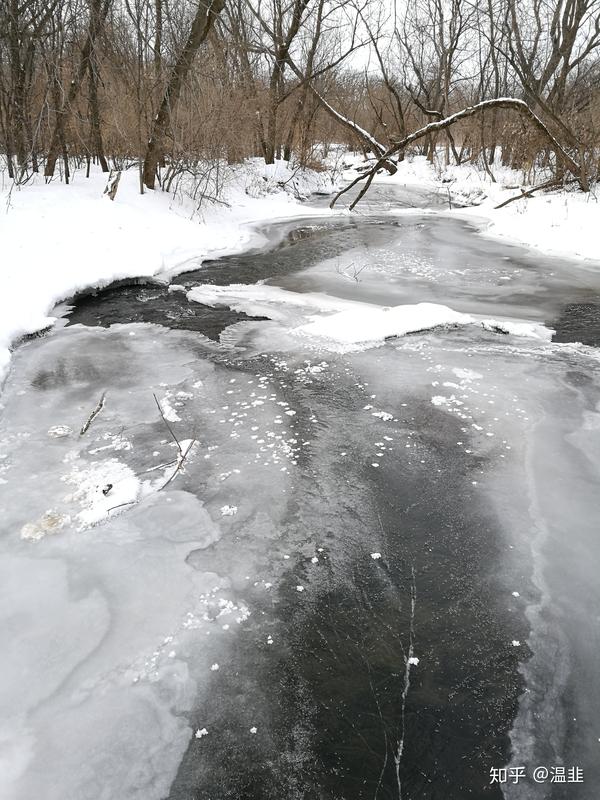 冬天走过学校里结冰的小溪,顺手拍的