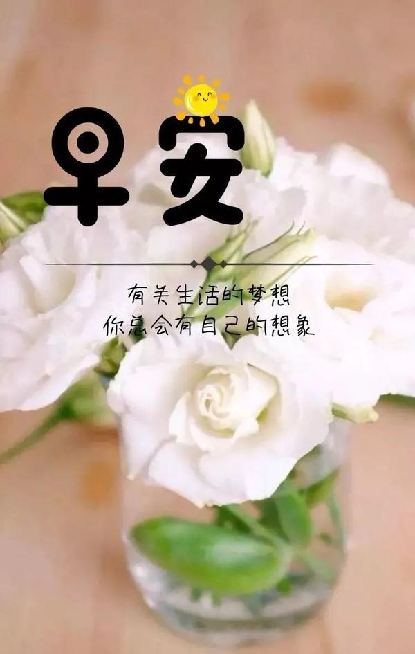 美女问候早安图片,最新版早上好漂亮图片大全