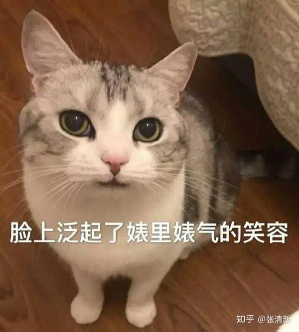 自己会比较夸张一点,喜欢装可爱撒娇什么的,就会喜欢用到猫猫表情包)