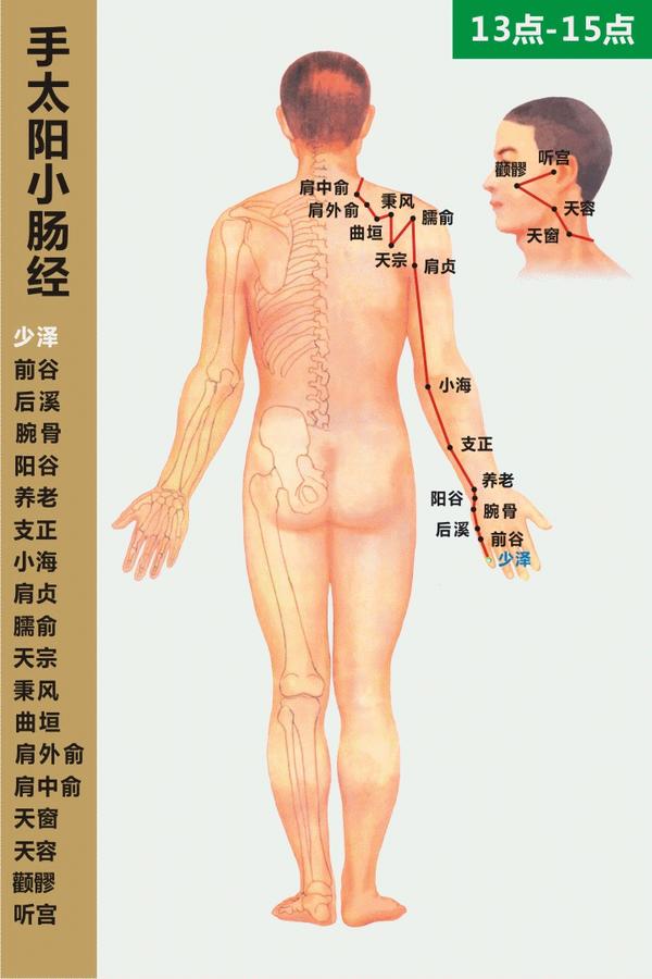 十四条经络,高清动态图