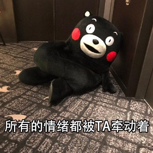 当暗恋一个人的时候,小心翼翼捧着一颗真心,满怀期待(表情包)
