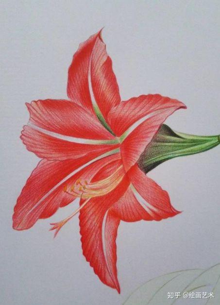 【推荐】彩铅基础教程 彩铅画入门临摹步骤花