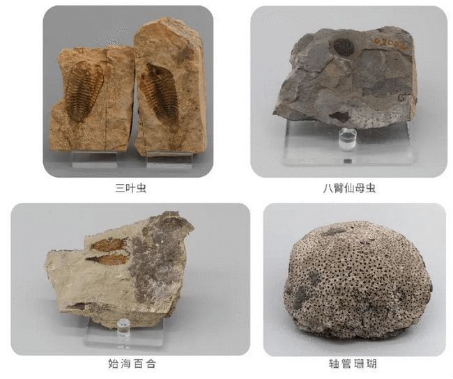 2021年11月19日第32届银河奖公布历届银河奖获奖科幻小说中你最推荐哪