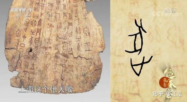 甲骨文中的"兕"字,图片来自网络