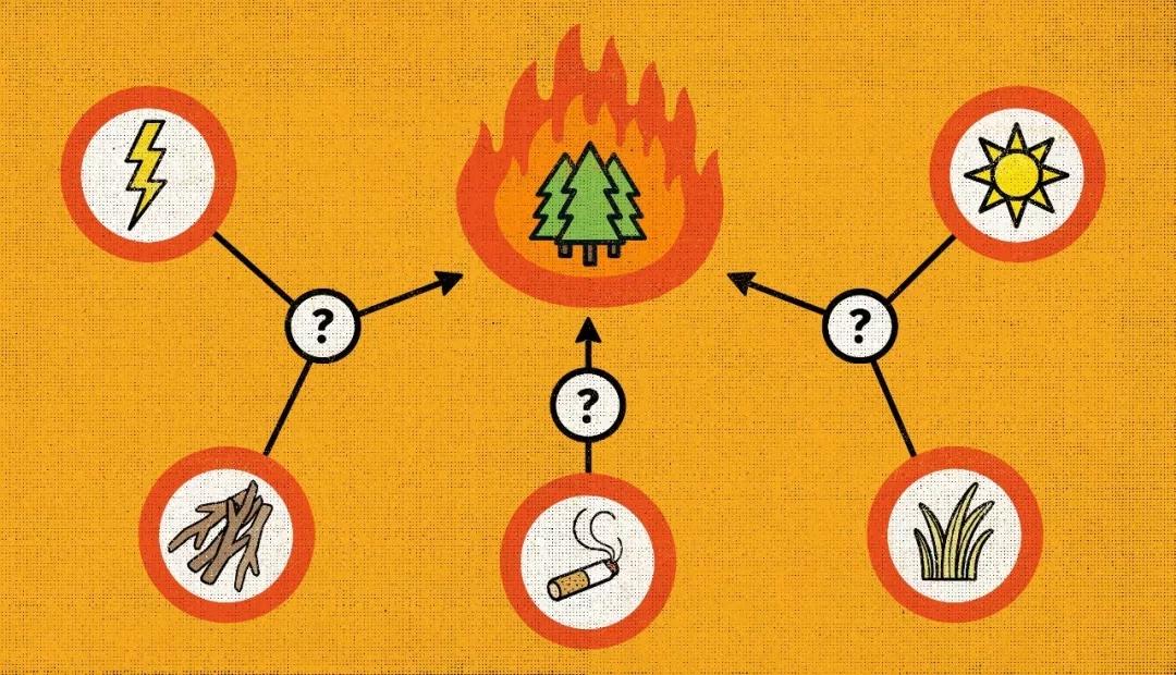 洞察谜题 : 用简单的数学模型探索复杂的因果关系