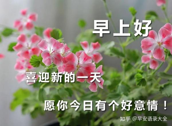 5月23日星期日最新漂亮免打字早上好问候图片 唯美清晨早安问候祝福