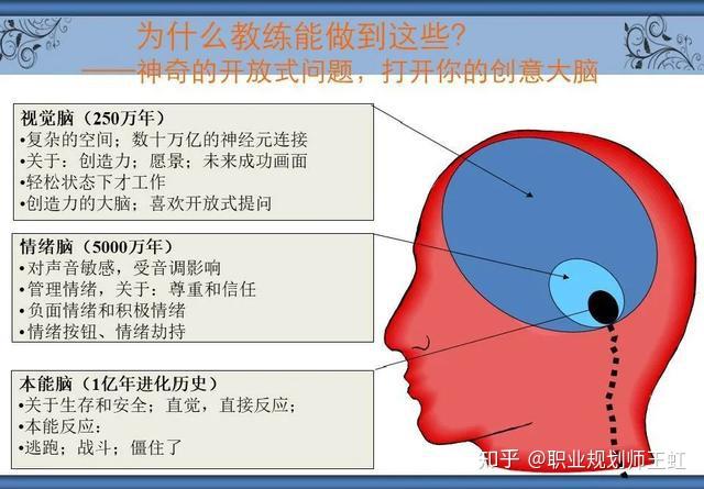 本能脑本能脑在最里层,是最古老的脑,负责人体的安全.