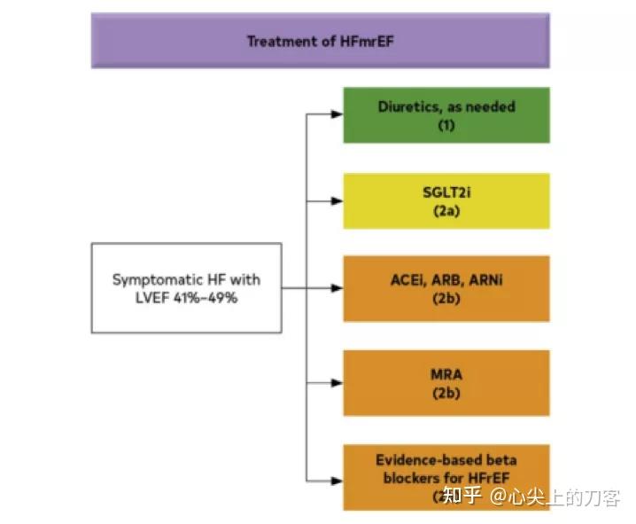 2022年AHA ACC HFSA心力衰竭管理指南要点 知乎