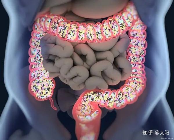 结肠炎什么症状 zhuanlan.zhihu.com
