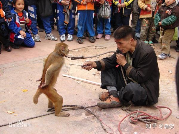 耍猴戏,又名猴戏,猴子戏,中国民间卖艺之人.流行于全国各地.