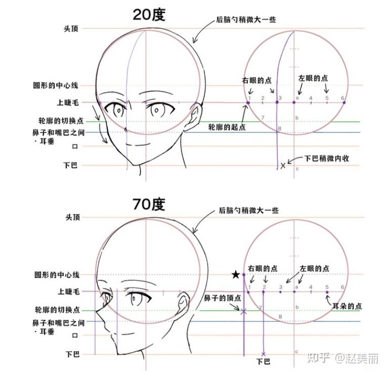 板绘临摹头部绘画五官定位不同角度参考