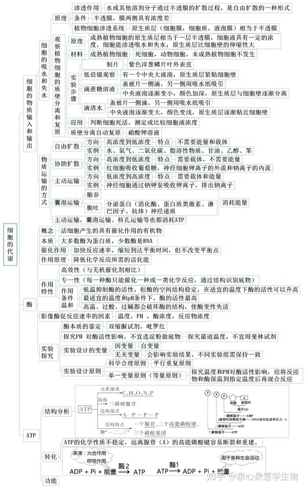 【思维导图】人教版高中生物学必修1