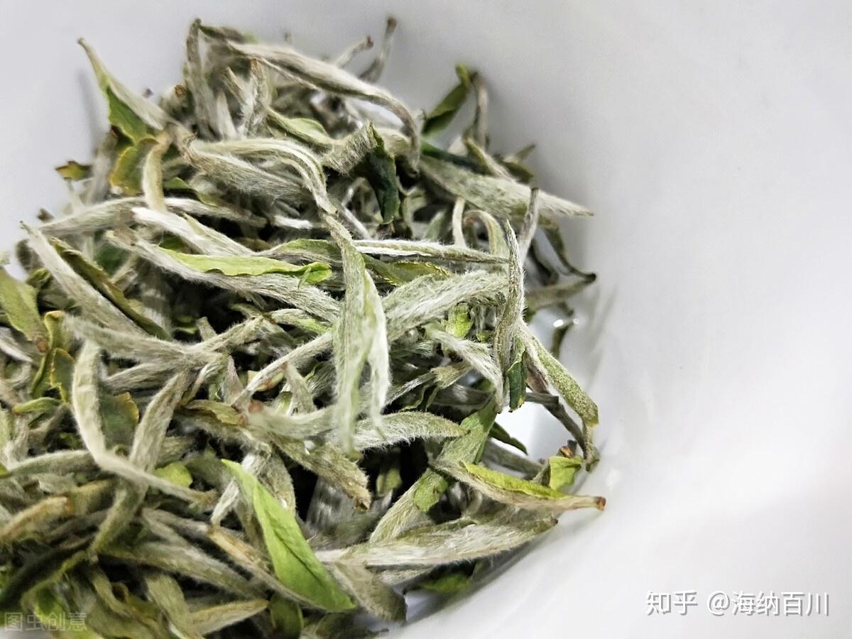 福鼎白茶与安吉白茶所属茶系感官特征产地品种都不同