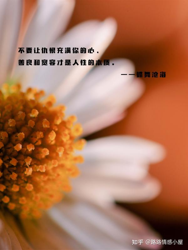 1不要让仇恨充满你的心,善良和宽容才是人性的本质.-蝶舞沧海