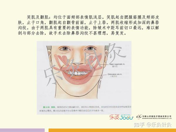 视频章瑛教授人体筋膜之美容乐灸刃针面部除皱术