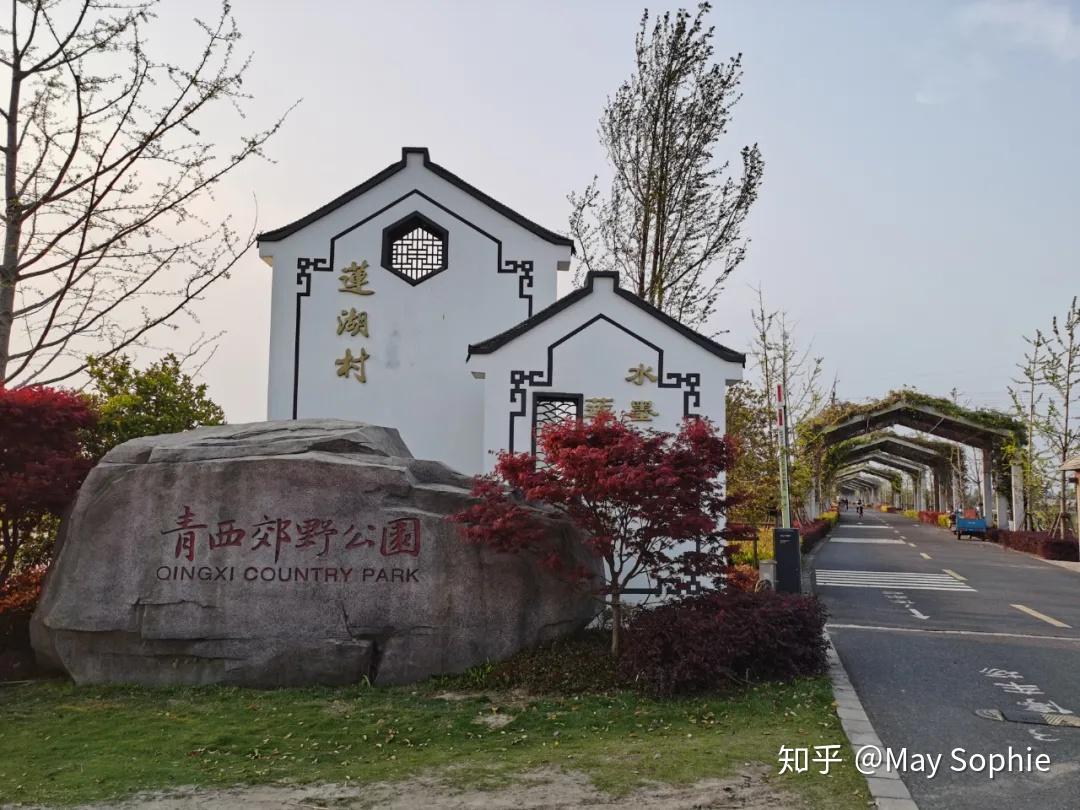 步道与观景平台