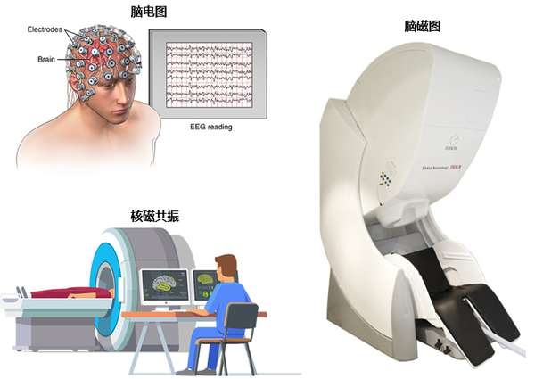 走进疼痛转化研究|专访哈佛医学院涂毅恒博士 知乎