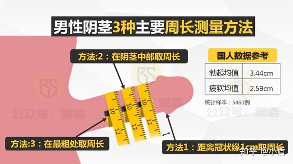 用直尺轻压耻骨联合处, 测量其到丁丁头部尿道口的长度