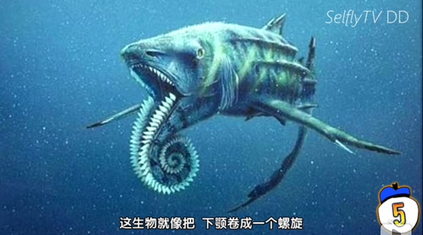 深海有什么恐怖的生物?