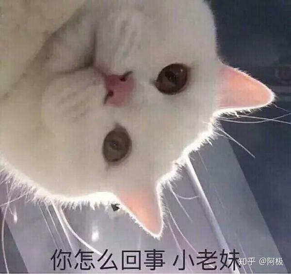 你怎么肥四 小老妹