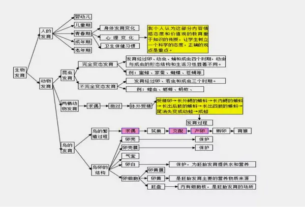 中考生物初中生物思维导图67