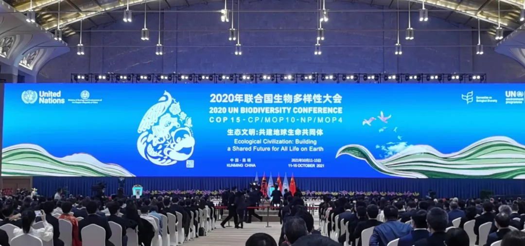 聚焦cop15湖州代表参加生物多样性公约缔约方大会第十五次会议