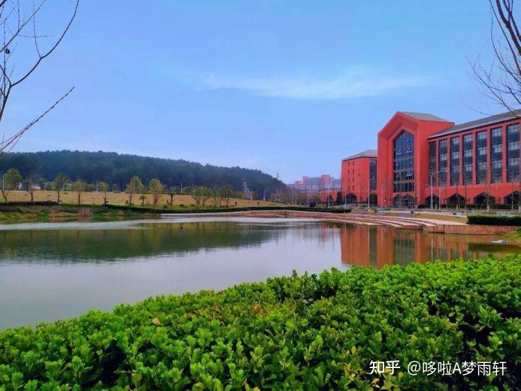 贵州大学法律硕士录取数据分析