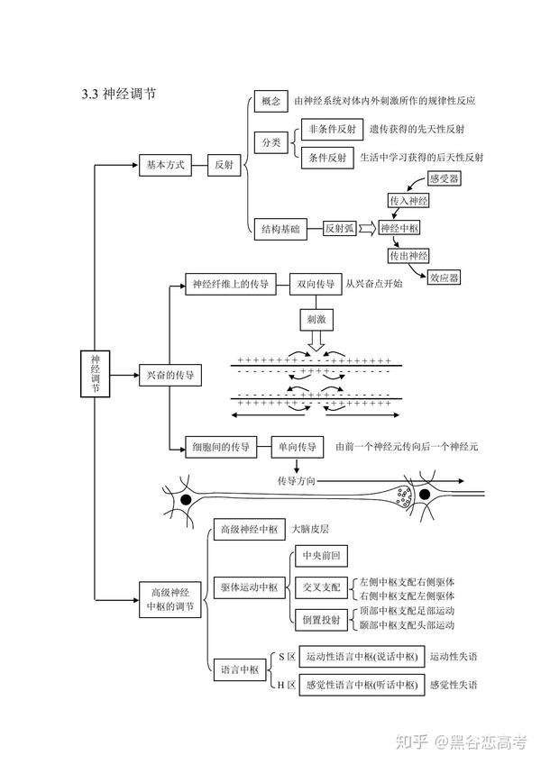 高考生物知识点专题:激素调节,体液调节,神经调节,免疫系统,抗原抗体