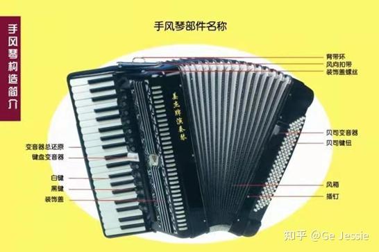 手风琴种类:键盘式手风琴:右手是以钢琴键盘形式,左手是键钮的手风琴