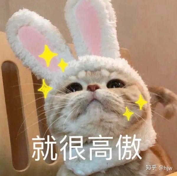 ④继承和发展了《诗经》的比兴手法,香草美人,寄托哀思