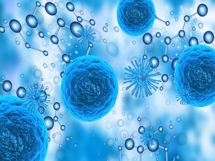 间充质干细胞的基本特性有哪些对治疗疾病有什么帮助