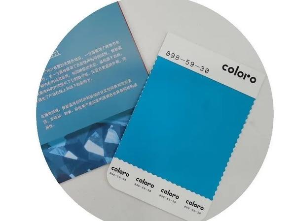 2021年秋冬流行色,2021秋冬大衣流行趋势 【coloro x wgsn】aw2021/22秋冬流行色关键5大色系