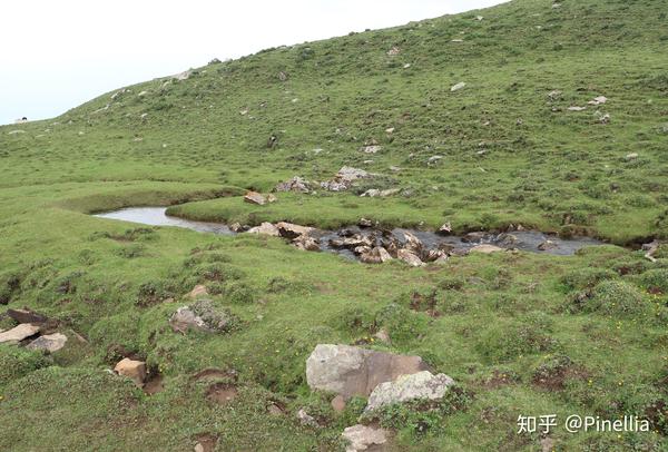 此处山峦的山脊亦相当柔美,草甸灌丛与优美的山脊线相映成趣