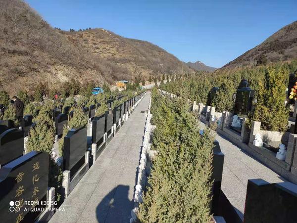 对比多家陵园最终选了十三陵景仰园骨灰林安葬奶奶010