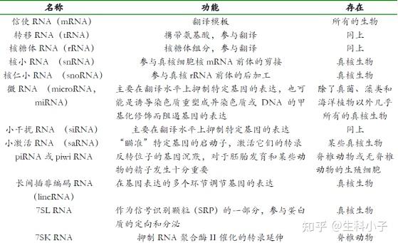 不同类型的rna的功能和分布