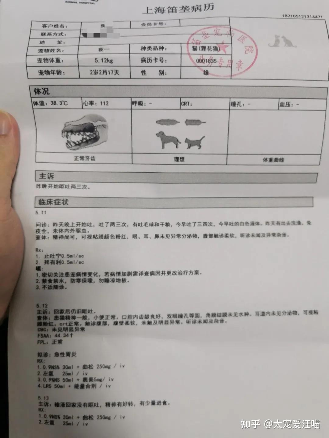 急性肠胃炎丨太宠爱理赔案例上海笛垄宠物医院